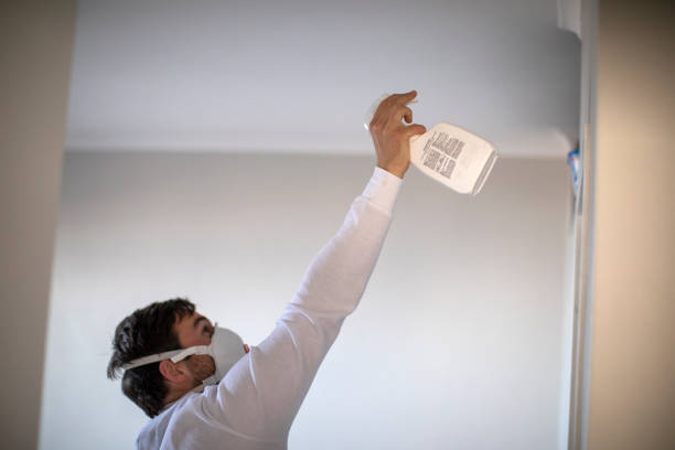 Trusted Kingston, OK Mold Removal Experts