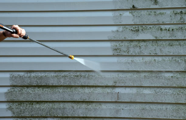 Best Affordable Mold Removal  in Kingston, OK